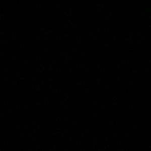 Meet your Posher, Antonio